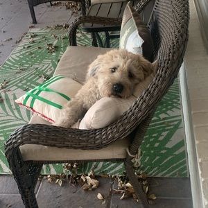 Meet your Posher, Chris